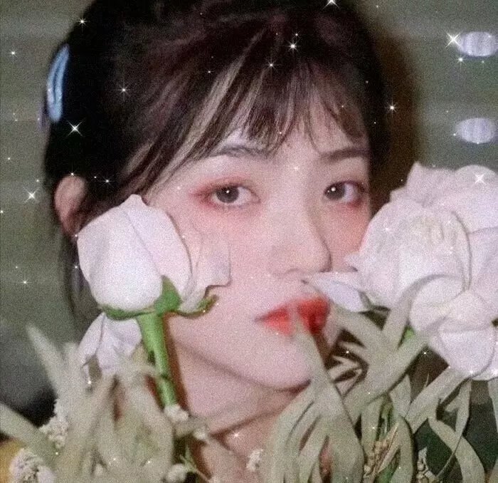 暗夜逐仇