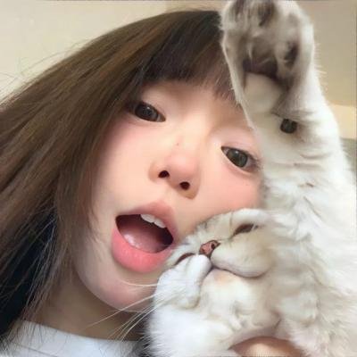 树木之城
